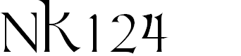 Preview image for NK124