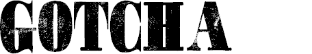 Preview image for GOTCHA PERSONAL USE