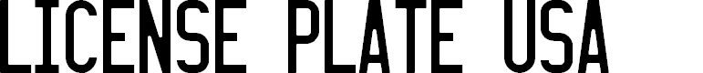 Preview image for LICENSE PLATE USA