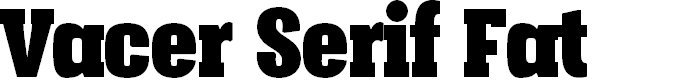 Preview image for Vacer Serif Personal Fat
