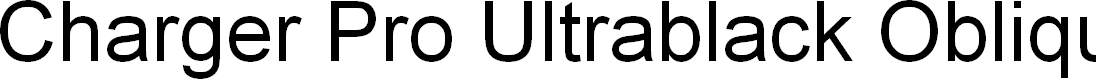 Preview image for Charger Pro Ultrablack Oblique