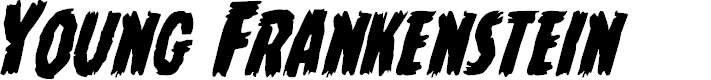 Preview image for Young Frankenstein Italic