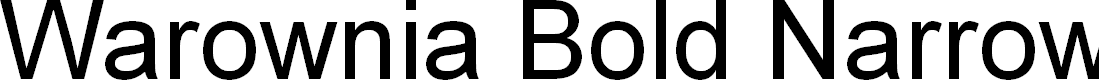 Preview image for Warownia Bold Narrow