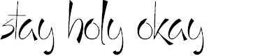 Preview image for Stay Holy Okay