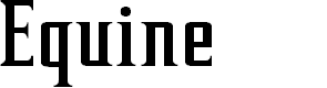 Preview image for Equine
