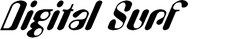 Preview image for DigitalSurf