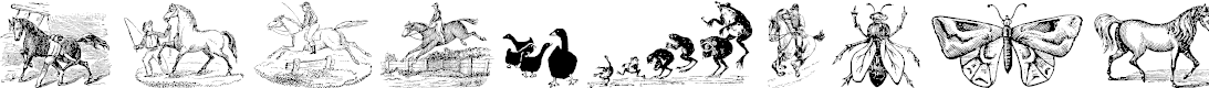 Preview image for Animals Old Cuts Two