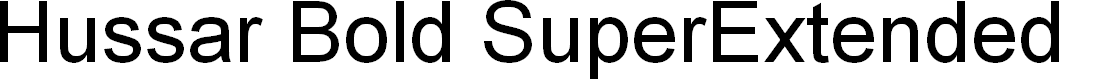 Preview image for Hussar Bold SuperExtended Oblique Three