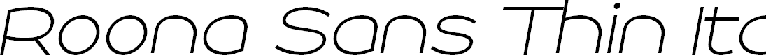 Preview image for Roona Sans Thin PERSONAL Italic
