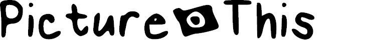 Preview image for Picture This Medium