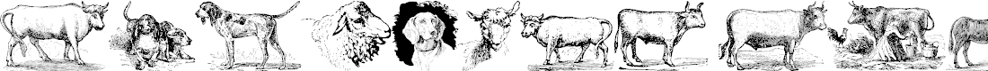 Preview image for Animals Old Cuts
