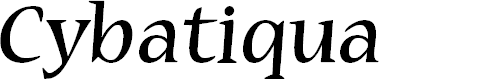 Preview image for Cybatiqua