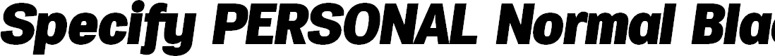 Preview image for Specify PERSONAL Normal Black Italic
