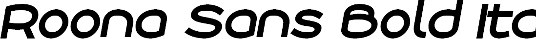 Preview image for Roona Sans Bold PERSONAL Italic