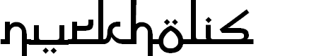 Preview image for Nurkholis