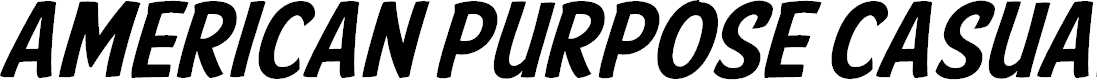 Preview image for American Purpose Casual 02