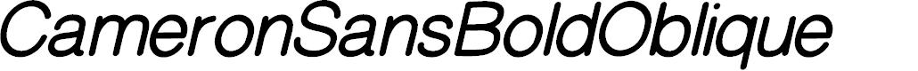 Preview image for CameronSansBoldOblique