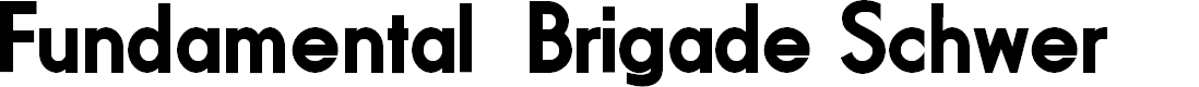 Preview image for Fundamental Brigade Schwer