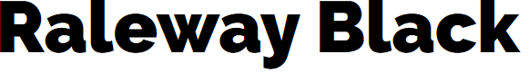 Preview image for Raleway Black