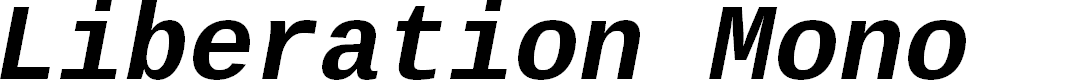 Preview image for Liberation Mono Bold Italic