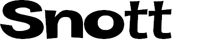 Preview image for Snott 2000 Bold