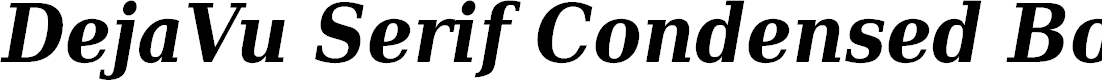 Preview image for DejaVu Serif Condensed Bold Italic