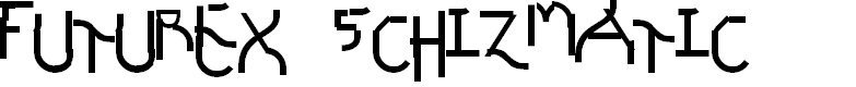 Preview image for Futurex Schizmatic