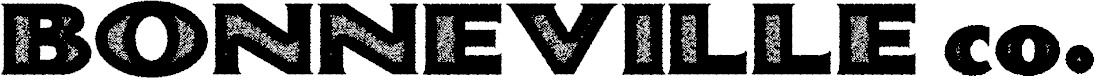 Preview image for BONNEVILLE co. Personal Use