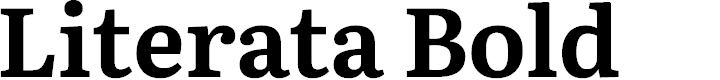 Preview image for Literata Bold