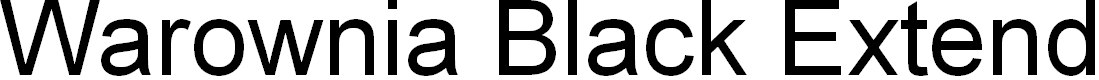 Preview image for Warownia Black Extended Oblique