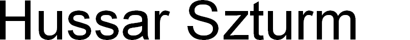 Preview image for Hussar Szturm
