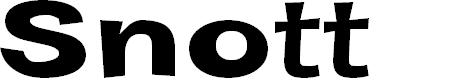 Preview image for Snott Bold