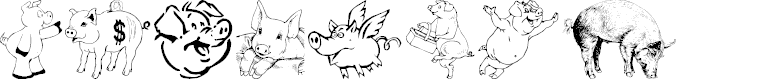 Preview image for Ein Schwein