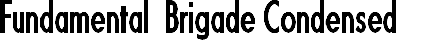 Preview image for Fundamental Brigade Condensed