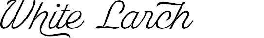 Preview image for White Larch PERSONAL USE ONLY