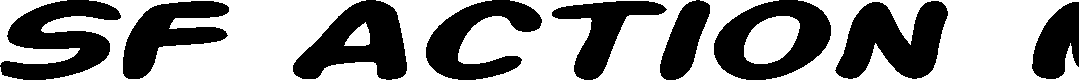 Preview image for SF Action Man Extended Bold Italic