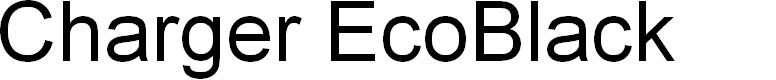 Preview image for Charger EcoBlack