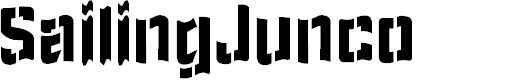 Preview image for SailingJunco