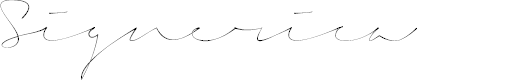 Preview image for Signerica Thin