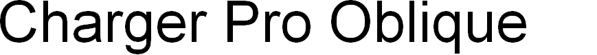 Preview image for Charger Pro Oblique