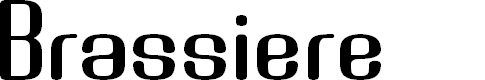 Preview image for Brassiere