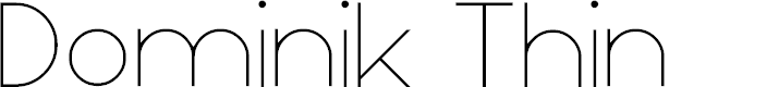 Preview image for Dominik Thin