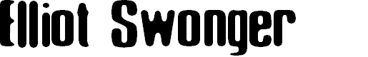 Preview image for Elliot_Swonger 2