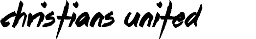 Preview image for Christians United
