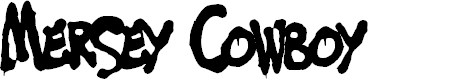 Preview image for Mersey Cowboy