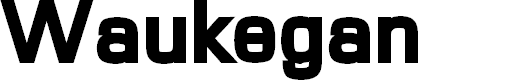 Preview image for Waukegan LDO Black