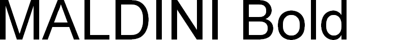 Preview image for MALDINI Bold
