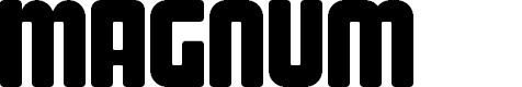Preview image for Magnum