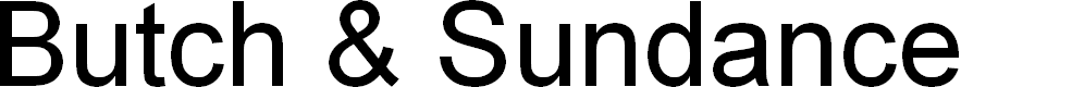 Preview image for Butch & Sundance Gradient Ital