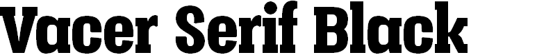 Preview image for Vacer Serif Personal Black